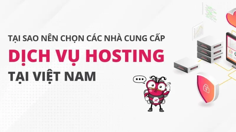 lựa chọn những nhà cung cấp có uy tín đảm bảo trang web luôn hoạt động mượt mà