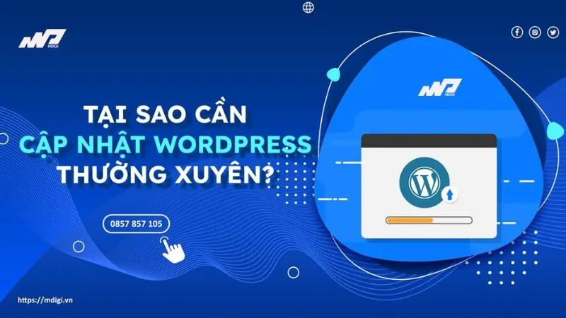 Luôn cập nhật WordPress và các plugin để đảm các tính năng mới và cải thiện hiệu suất