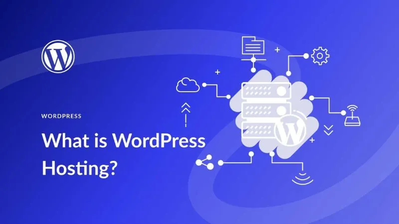 WordPress Hosting là một lựa chọn hàng đầu cho các doanh nghiệp