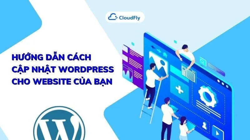 WordPress Hosting với tính năng mạnh mẽ là khả năng tự động cập nhật